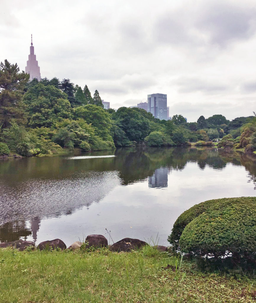 Just a few minutes' walk from KCP, the Shinjuku-Gyoen National Garden.