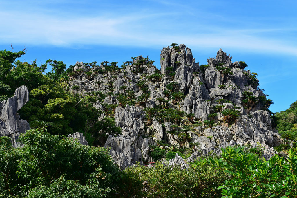 Large limestone rock formations in Daisekirinzan park